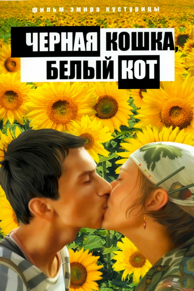 Черная кошка, белый кот