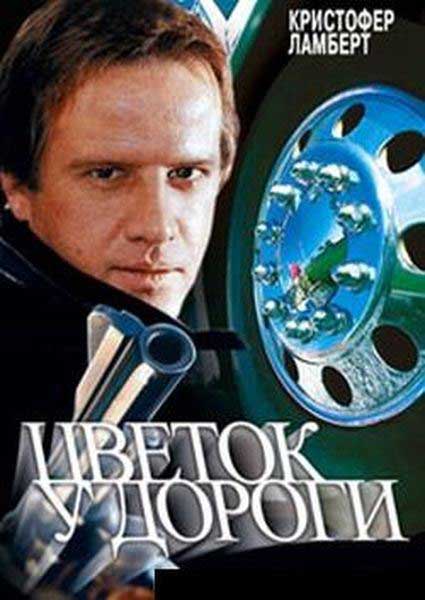 Цветок у дороги