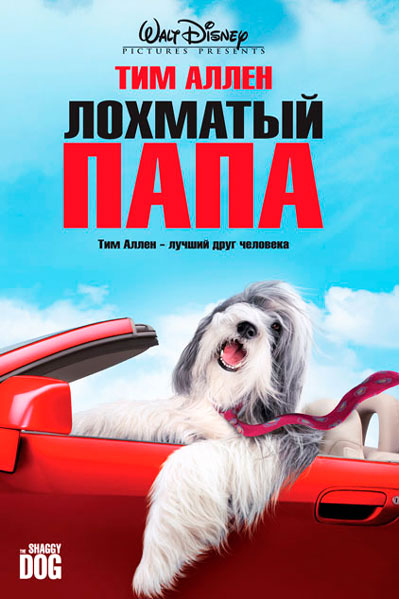 Лохматый папа