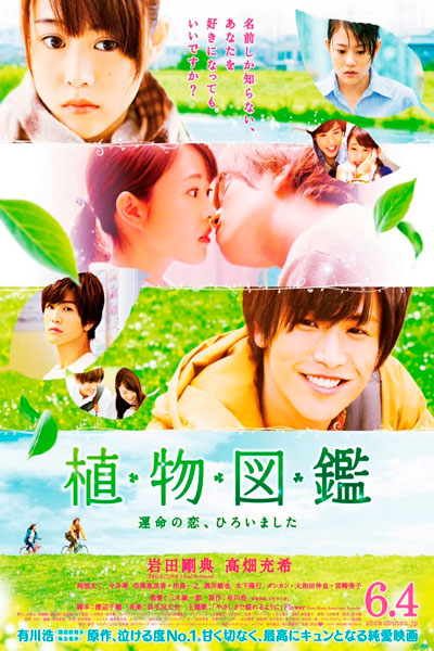 Иллюстрированная книга растений