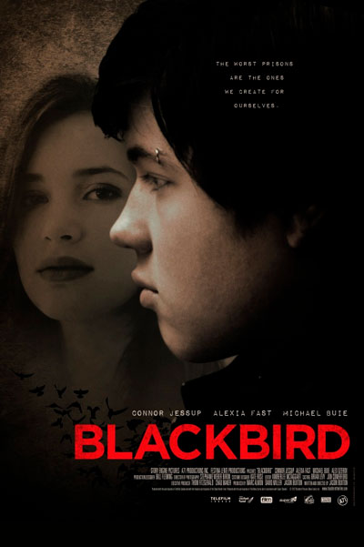 Чёрный дрозд