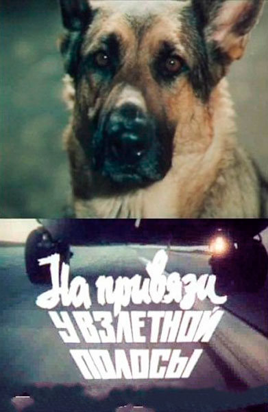 На привязи у взлетной полосы