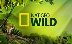 Nat Geo Wild EN