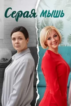 Серая мышь