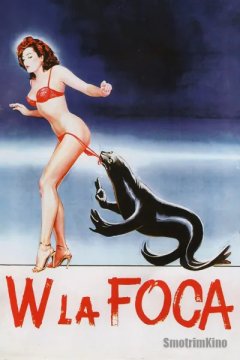 Да здравствует тюлень!