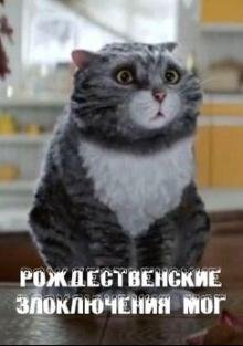 Рождественские злоключения Мог