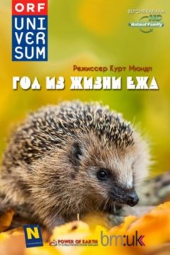 Год из жизни ежа