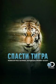 Спасти тигра