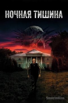 Ночная тишина
