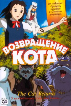 Возвращение кота