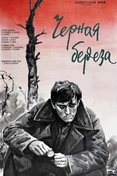 Черная береза