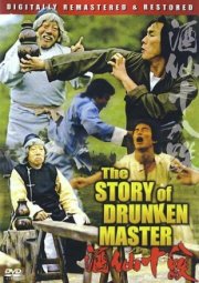 История пьяного мастера