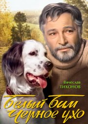 Белый Бим Черное ухо