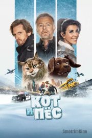 Кот и пёс