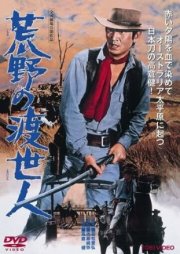 Странствующий мститель