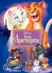 Коты-аристократы