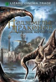 Подземелье драконов 2: Источник могущества