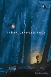 Тайна старого леса
