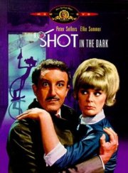 Выстрел в темноте