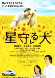 Пёс, смотрящий на звезды