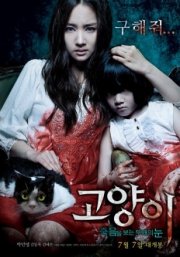 Кот: Глаза, которые видят смерть