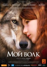 Мой волк
