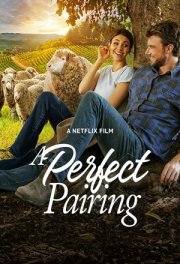 Идеальное сочетание