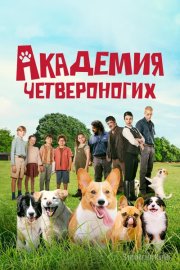 Академия четвероногих