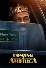 Поездка в Америку 2