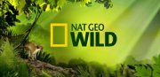 Nat Geo Wild EN