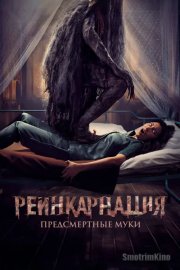 Реинкарнация. Предсмертные муки