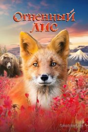 Огненный лис
