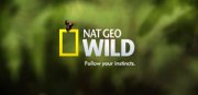 Nat Geo Wild RU
