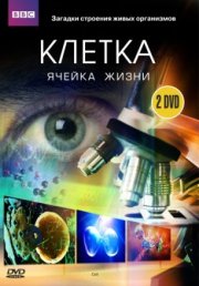 BBC: Клетка
