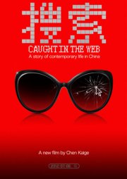 Пойманные в сеть