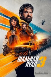 Шальная пуля 3