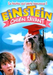 Завтрак с Эйнштейном