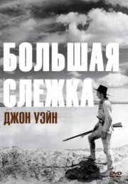 Большая слежка