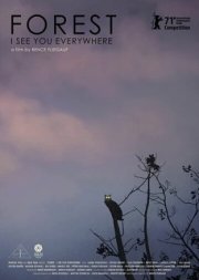 Лес: Вижу тебя повсюду