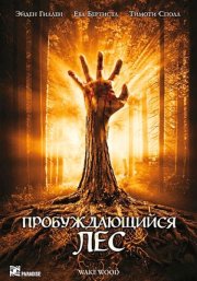 Пробуждающийся лес