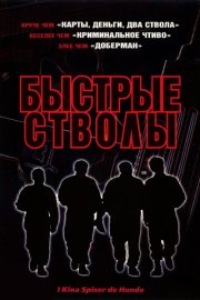 Быстрые стволы