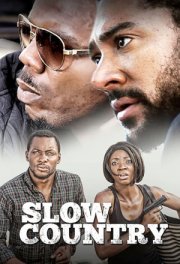 Неразвитая страна