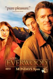 Любовь вдовца