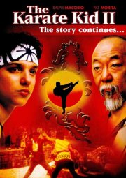 Парень-каратист 2