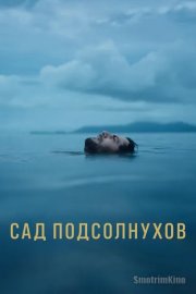 Сад подсолнухов