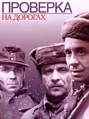 Проверка на дорогах