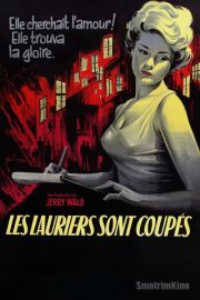 Возвращение в Пейтон Плейс