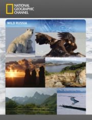 Дикая природа России