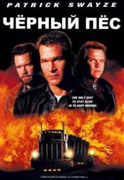 Черный пес