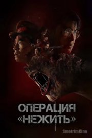Операция «Нежить»